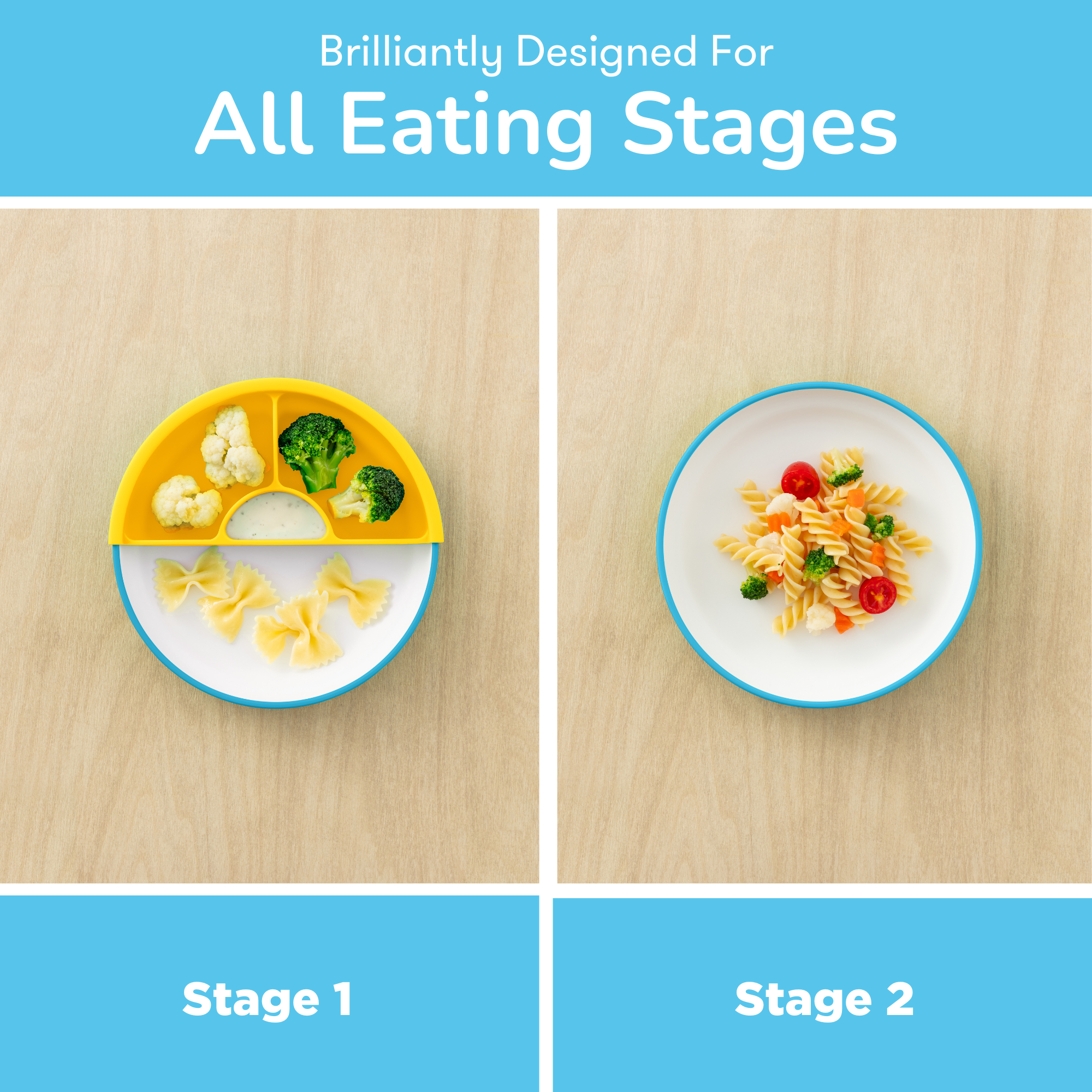 OmiieLife OMIE Easy Scoop Plate - Image 8